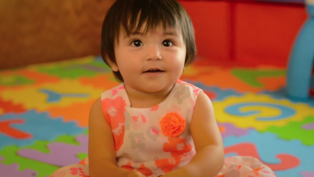 Elephant tour elephant