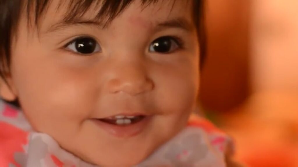 Elephant tour elephant 3